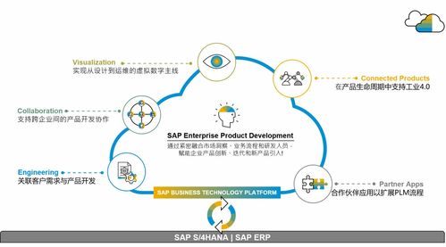 SAP供應鏈云三套產品落地中國，官方培訓課程助您操作無憂，管理高效